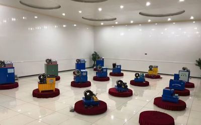 中国 Shanghai Fanying Machinery Technology Co., Ltd. 会社プロフィール